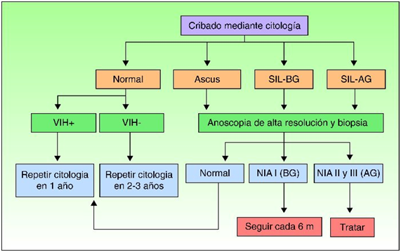 Citologia cada cuanto tiempo se hace