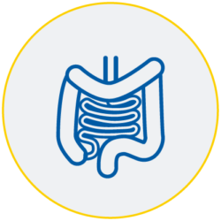 Pensar en el futuro compañero Drástico Endoscopia Digestiva | Clínica CEMTRO